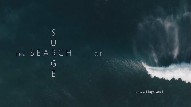 Search of Surge